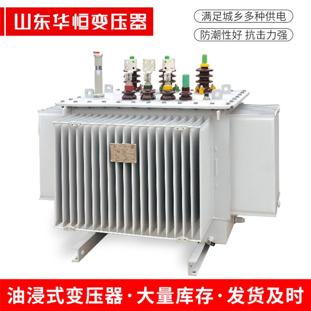 S13-10000/35自贡自贡自贡电力变压器